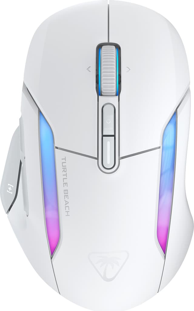 Arctic white