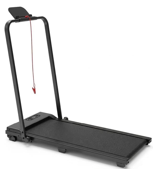 Camino Premium Walking Pad