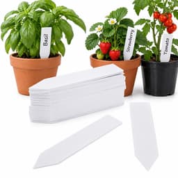 Planteetiketter / planteskilt for enkel planteidentifikasjon - 100-pakning White