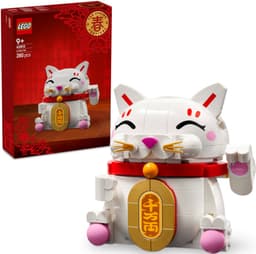 LEGO Onnenkissa 40813