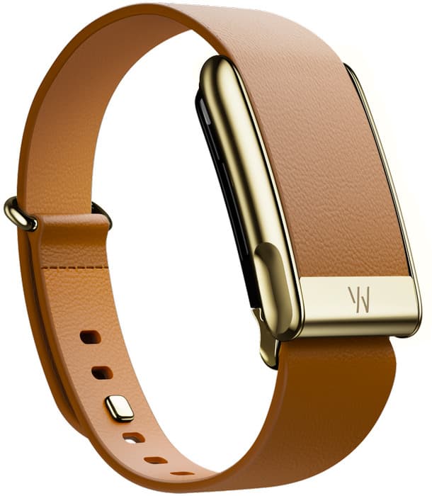 Camel/Gold