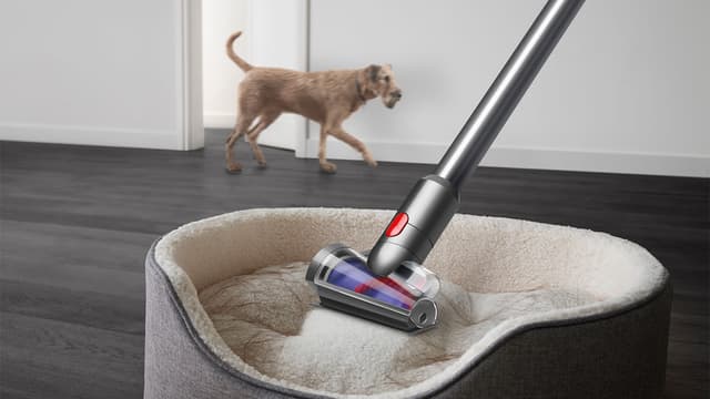 Dyson V15 støvsuger en hundeseng mens en hund går forbi i bakgrunnen