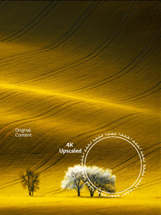 Träd på en backig åker med text med "original content" och ett utsnitt där detaljer syns tydligare med texten "4K upscaled"