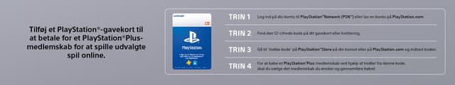 PlaySation Plus Four Steps - dk.jpg