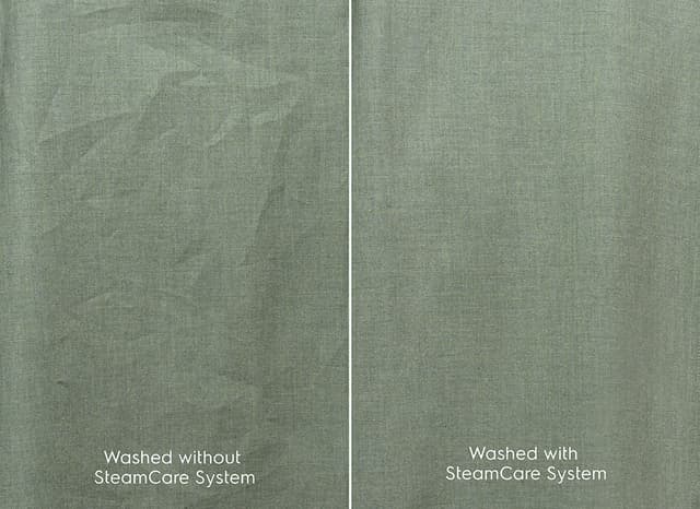 electrolux steam image