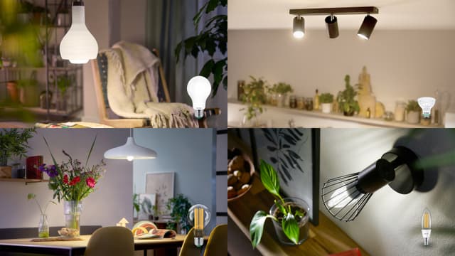 Philips LED bulb, conventional bulb, spots and Ultra Efficient LED bulb collage
