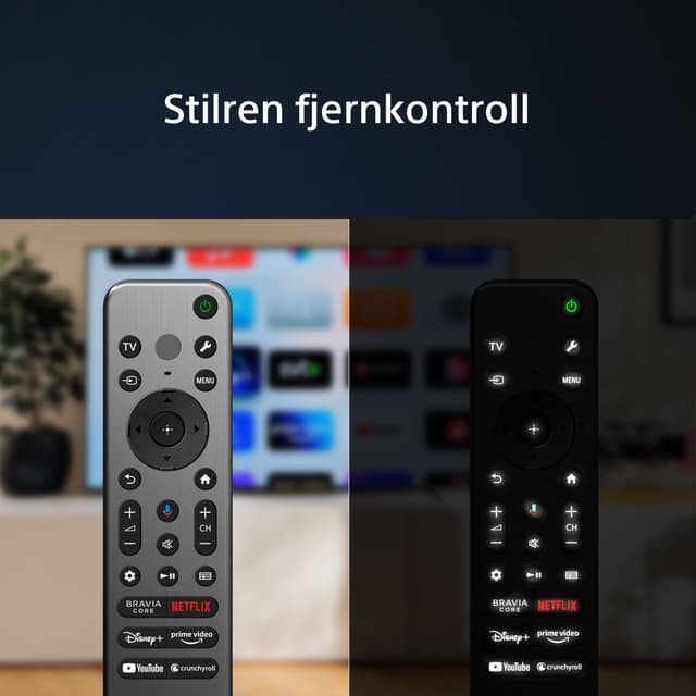 Sony - TV - Sony A95L TV og den stilrene fjernkontrolleren
