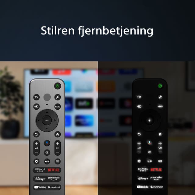 Sony - TV - Sony A95L TV og det stilrene og funktionelle fjernbetjening