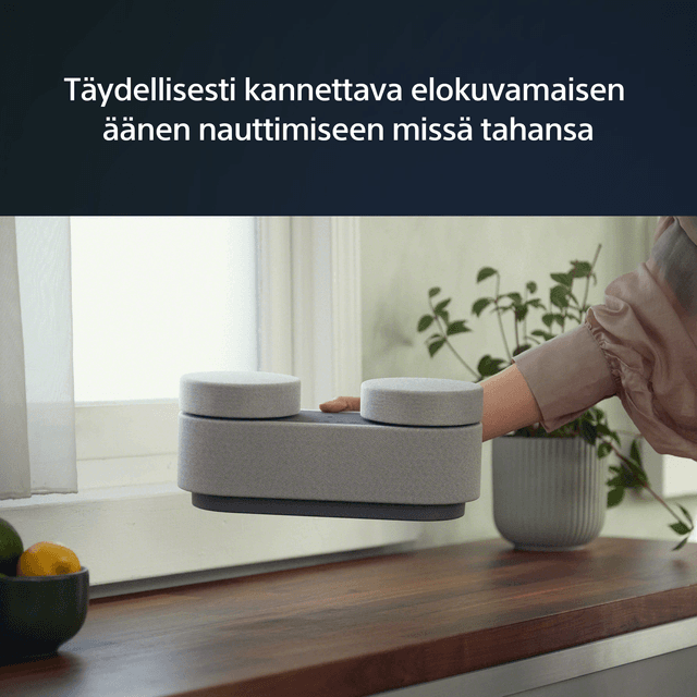 Sony HT-AX7 kannettava älykaiutin