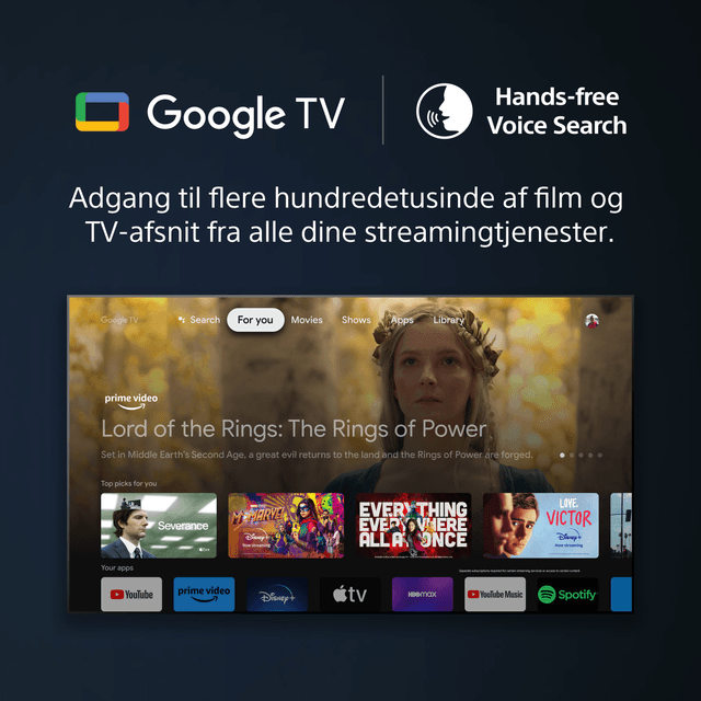 Sony A95L - Google TV & Voice Search