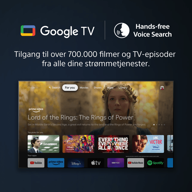 Sony A95L - Google TV & Voice Search
