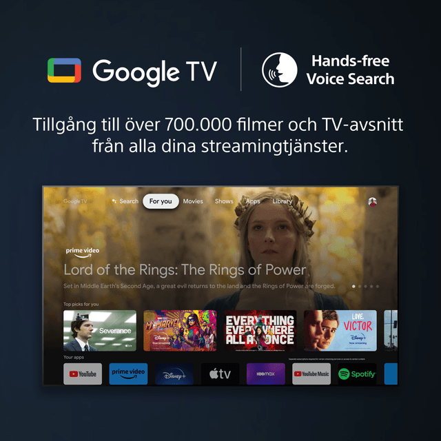 Sony A95L - Google TV & Voice Search