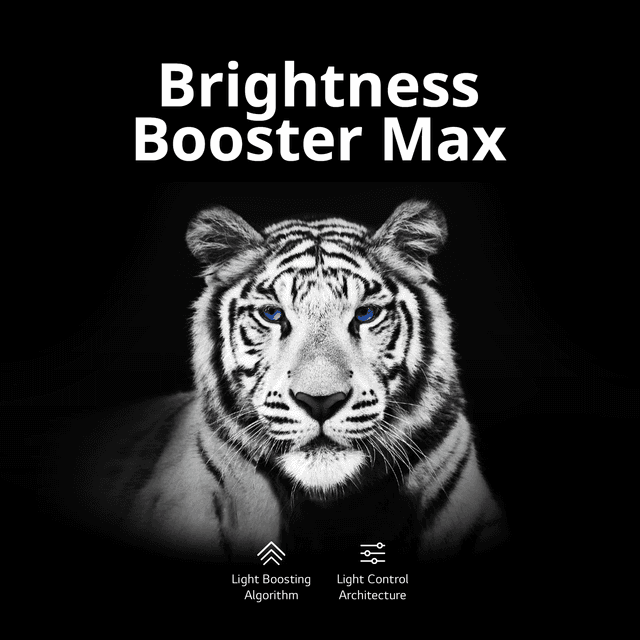 Enriched - LG M3 - Brightness Booster Max