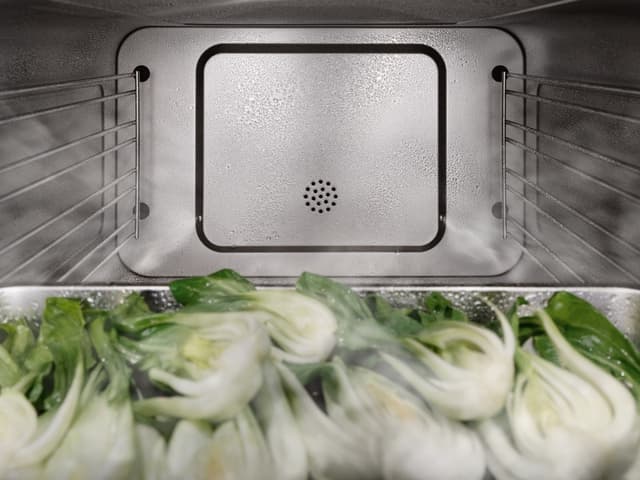 Miele dampovn med DualSteam
