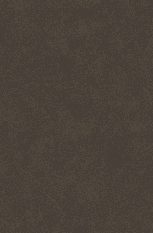 Laminatbordpladen Terrazzo Bronze
