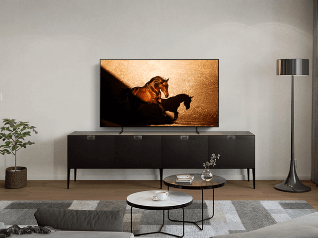 Samsung OLED TV S85D and a picture of a horse on the screen