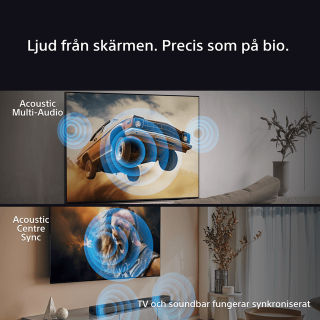 05_BRAVIA_7_SE