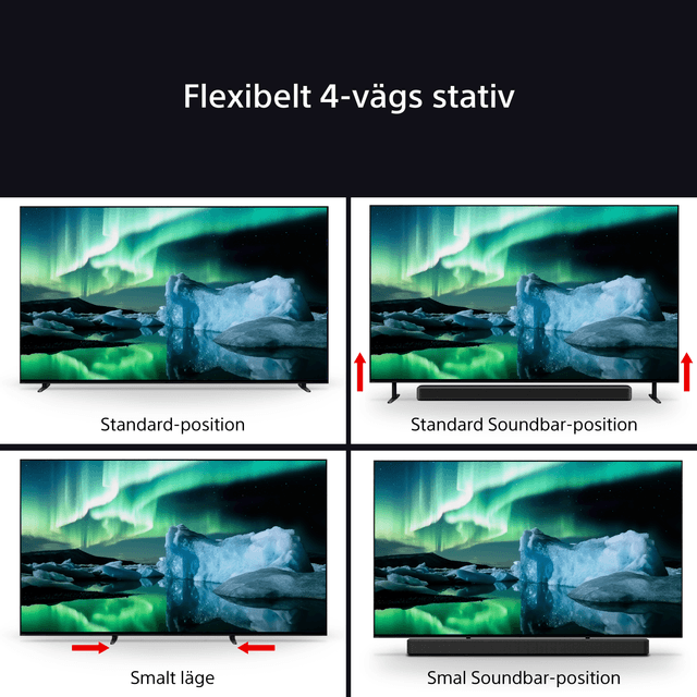 12_BRAVIA_8_SE