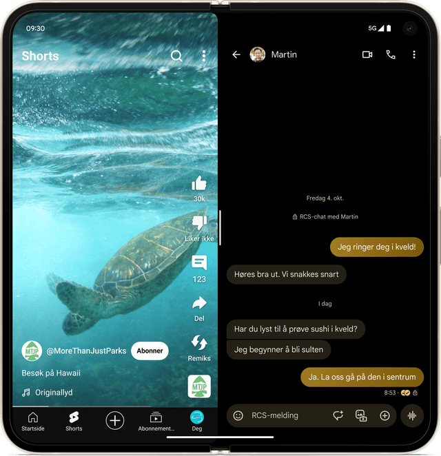 Pixel 9 Pro Fold sisänäytöllä kuva merikilpikonnasta sekä chat-keskustelu