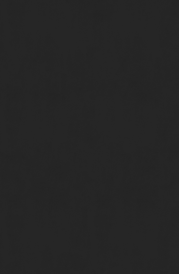 Dekton Domoos 590x900