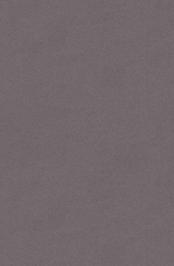 Quartz Gobi Grey 590x900