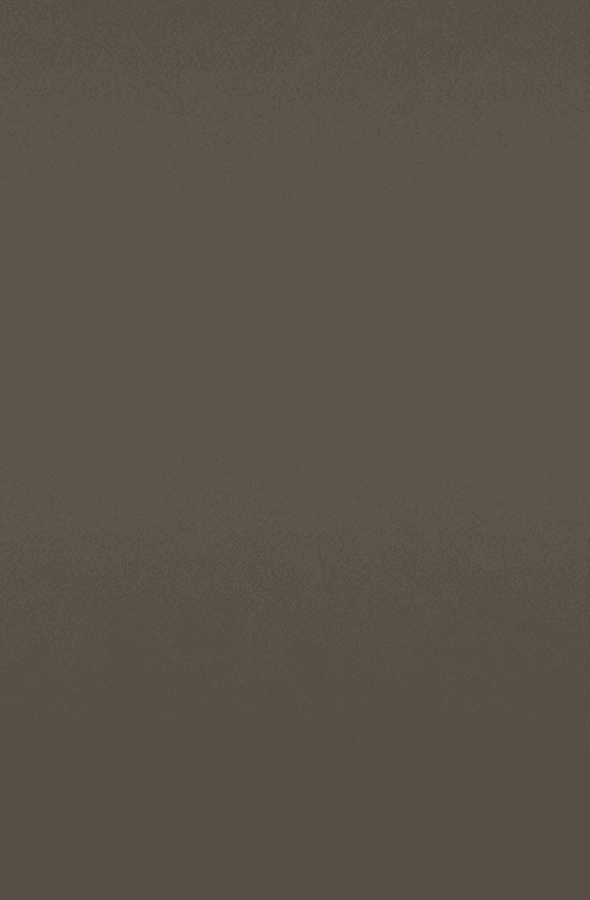 Laminate Fenix Grigio Londra 590x900