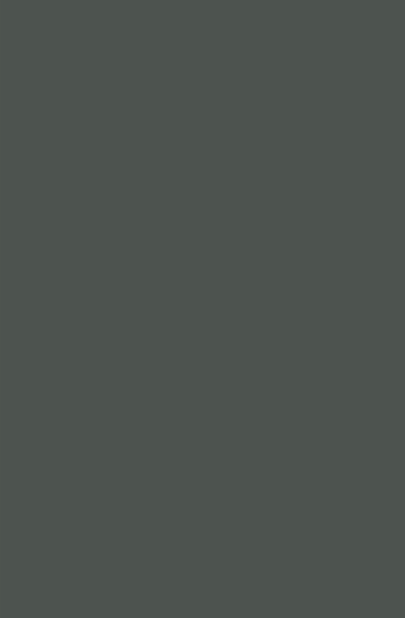 Linoleum Pewter 590x900