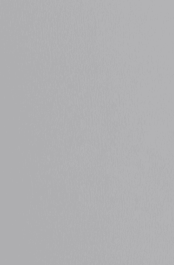 Laminate Aluminum Effect 590x900