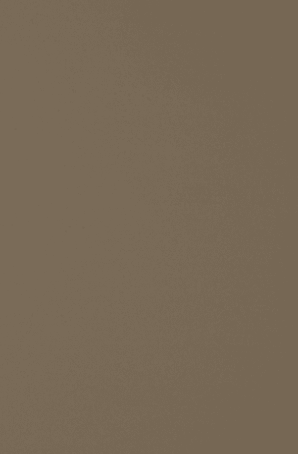 Laminate Fenix Castoro Ottowa 590x900
