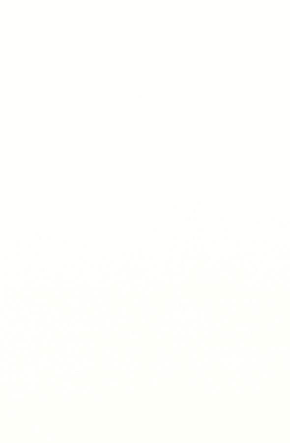 Quartz Absolute White 590x900