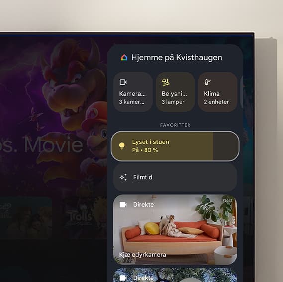 Google - Kontroller dine smart home-enheter fra TV-en din