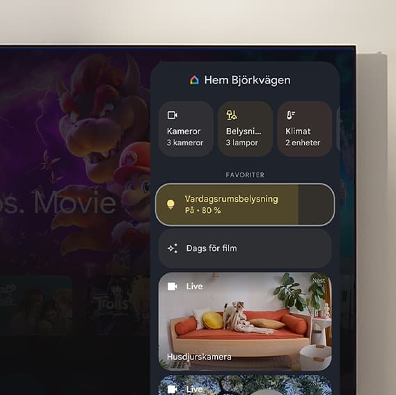 Google - Control your smart home devices from your TV