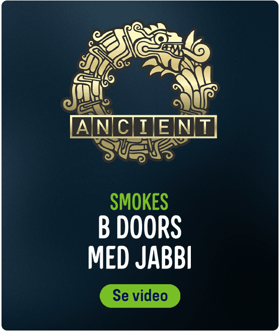 b doors - 556x657 (1)