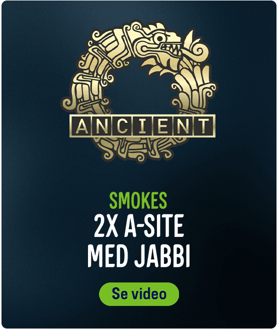 2x a site smoke - 556x657 (1)