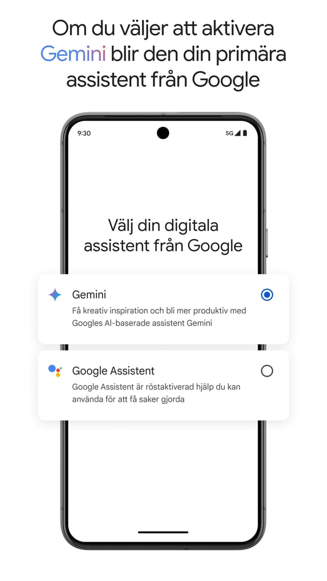 Screenshot from phone with Google Gemini on the screen