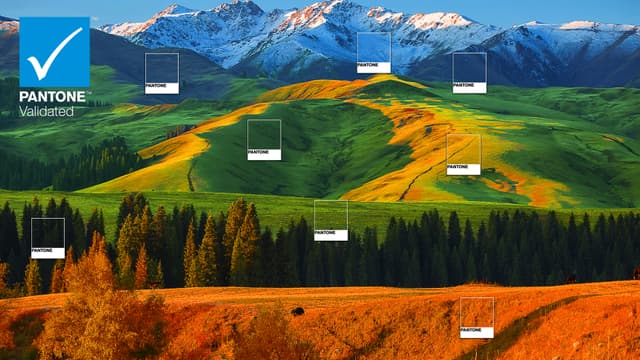 Pantone-validerte TCL-skjerm: nøyaktige og konsistente farger