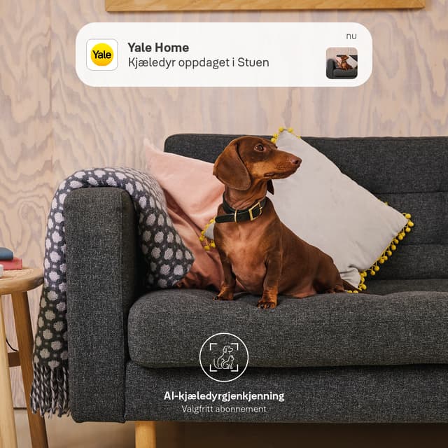 Yale - Surveillance and security - Yale Smart indoor camera and built-in AI with Pet detection