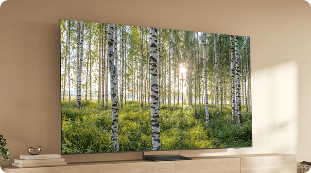 Samsung Neo QLED 8K TV på væg
