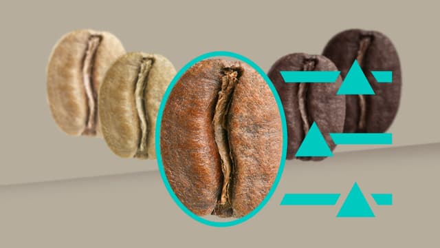 Siemens EQ900 Plus kaffemaskin - Bilde av 5 ulike fargede kaffebønner