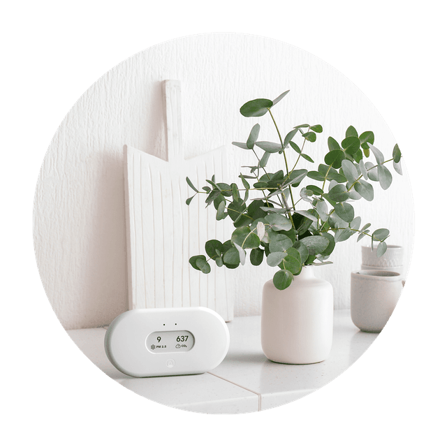 Airthings View Plus 2960 air quality meter on a table next to a vase with eucalyptus leaves