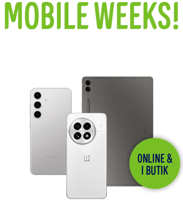 WEB ARTIKEL 720x800