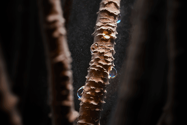Dyson Airstrait™ straightener - Close-up of hair structure