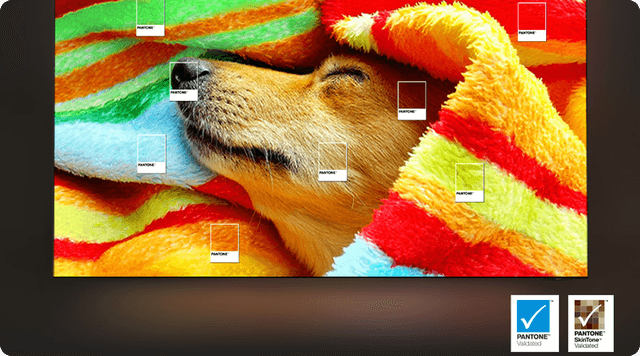 Samsung TV - Pantone-godkjent
