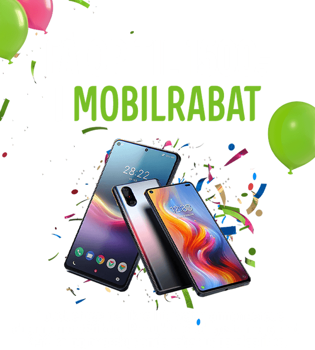 Web ARTIKEL - 720x800 (3)