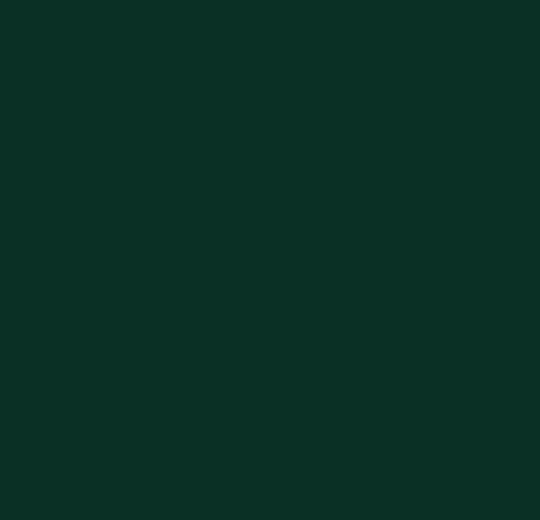 4174 Conifer