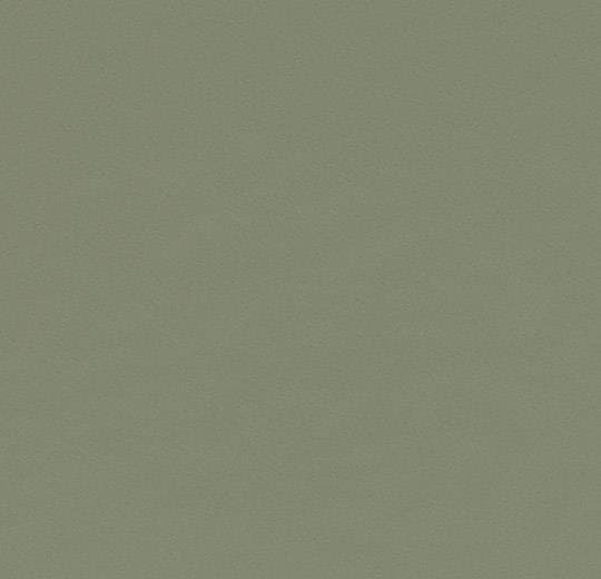4184 Olive
