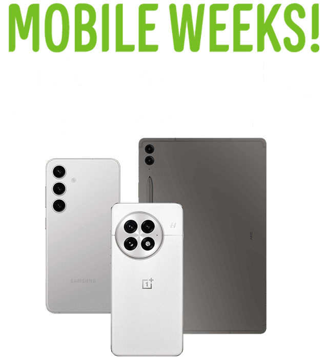 WEB ARTIKEL 720x800