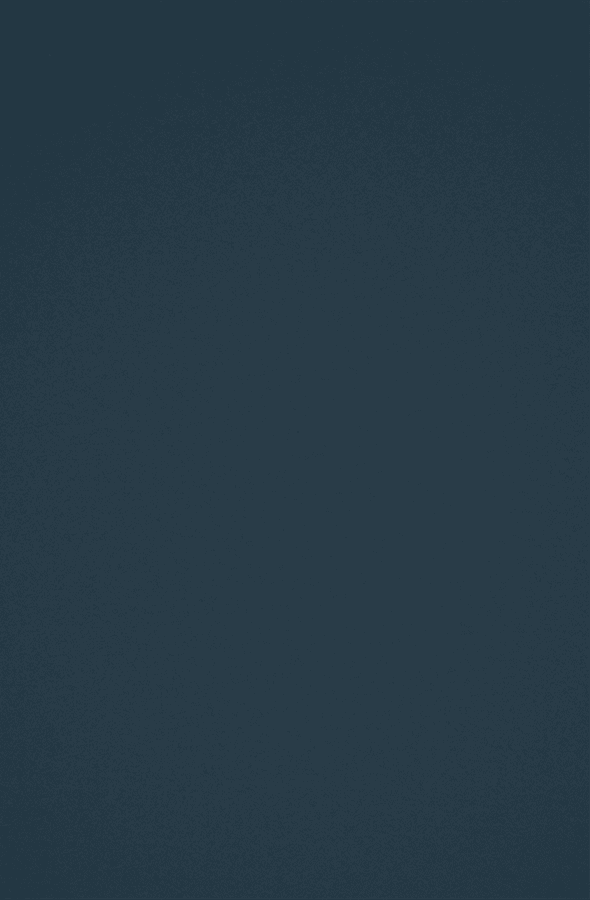 Laminate Fenix Blu Shaba 590x900
