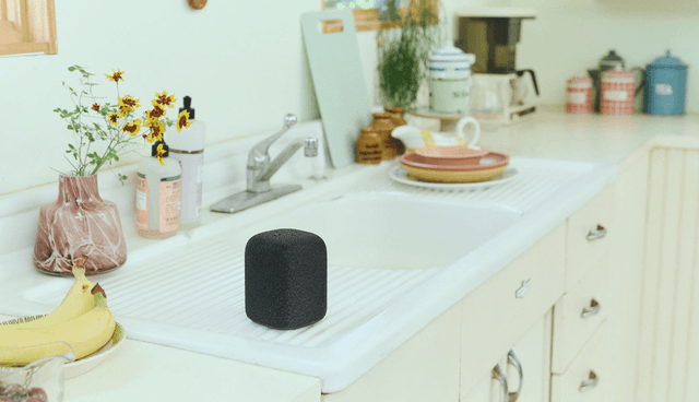 Black Sony LinkBuds Speaker on a kitchen counter