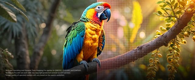 LG QNED evo -televisio MiniLED-teknologialla